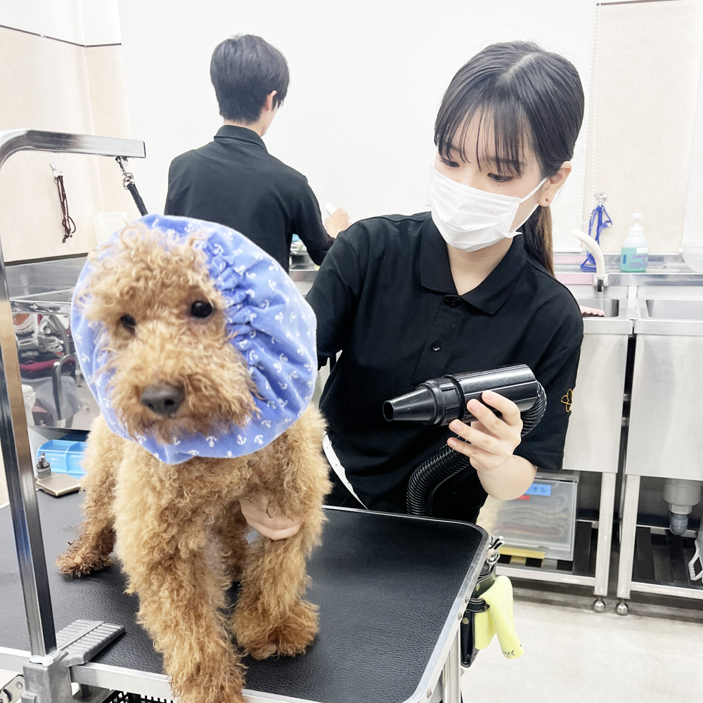 先生手作りヘアバンド！